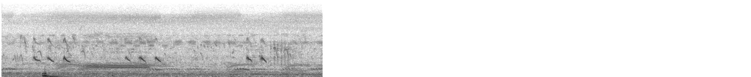 Үхэр хөгчүү - ML525420571