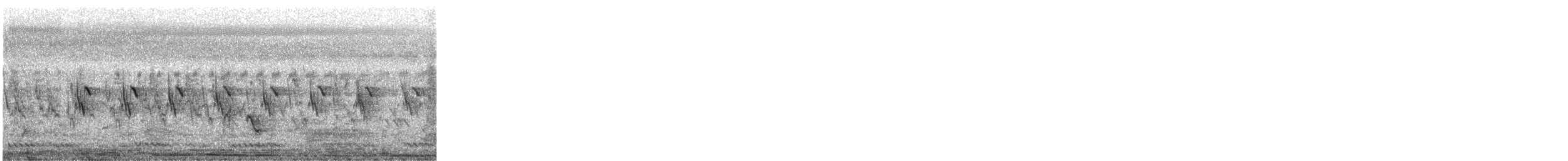 Ashy Prinia - ML525420661