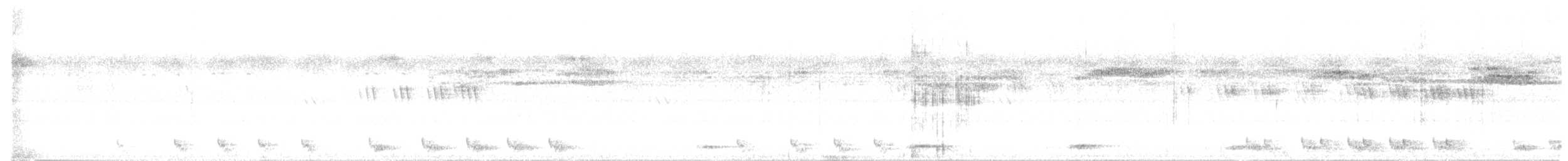 Andamanennachtschwalbe - ML525422411