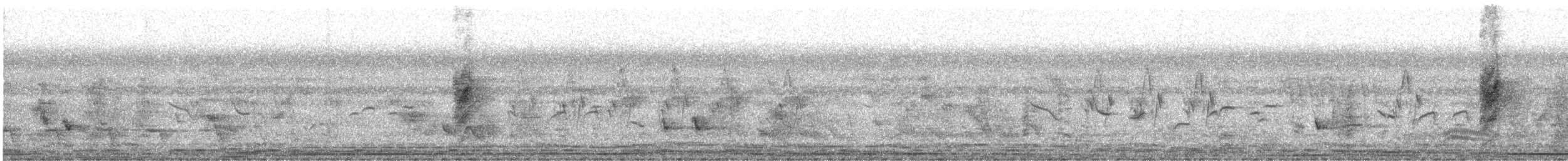 Indian Paradise-Flycatcher - ML525422631