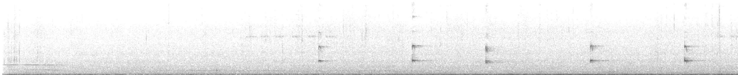 White-breasted Waterhen - ML525437311