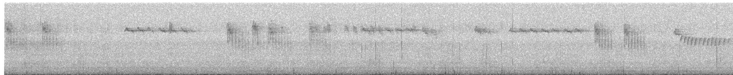 Schwanzmeise [europaeus-Gruppe] - ML525442681