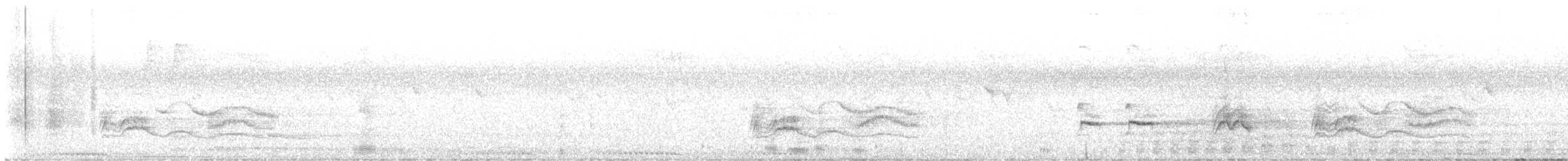 Дрізд мінливоперий (підвид erythropleurus) - ML525444521