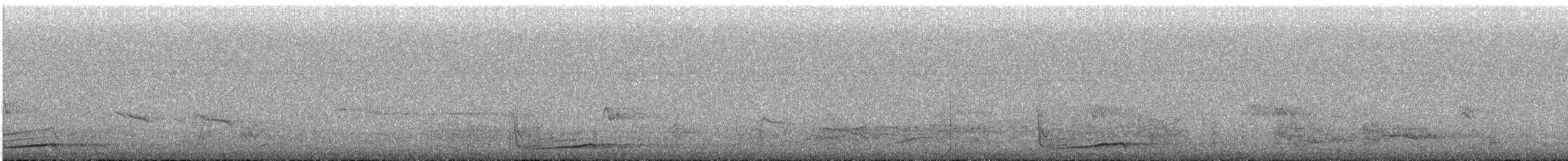 Little Owl - ML525444531