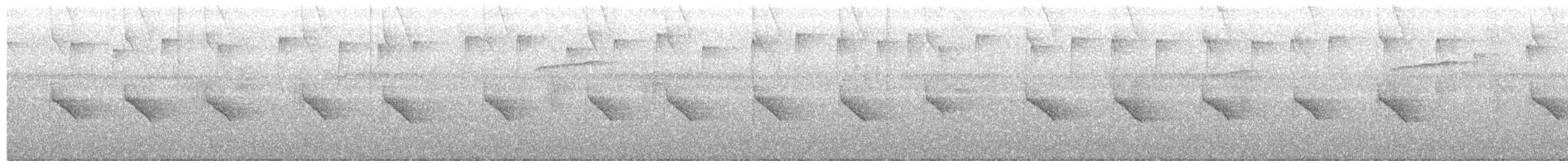 Белогорлая сорокопутовая танагра - ML525449331