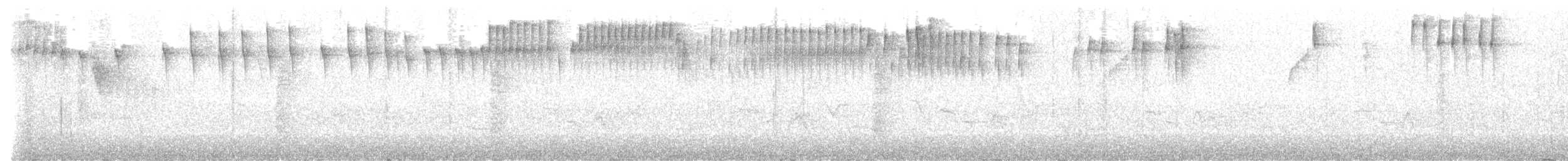 perlestammeløper - ML525492201