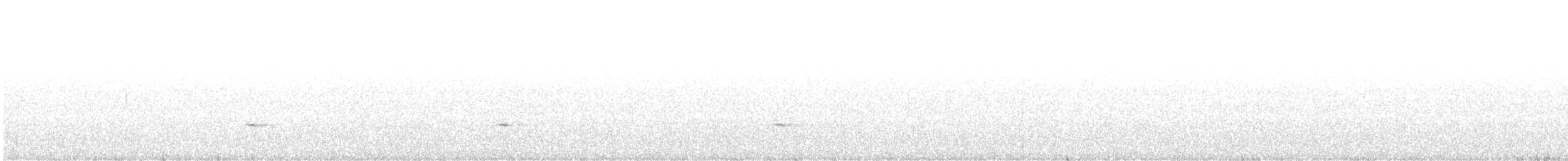 ハエトリツグミ - ML525504551