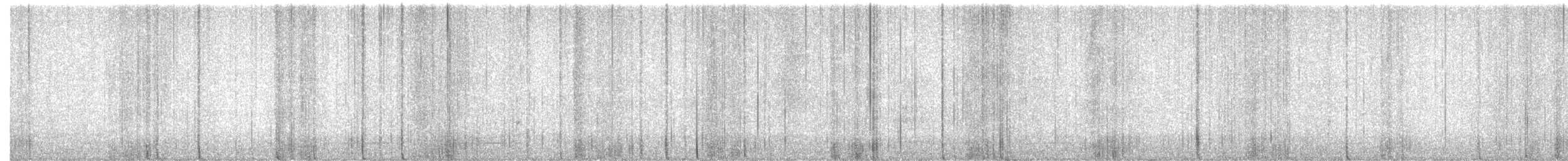 American Robin - ML525528631