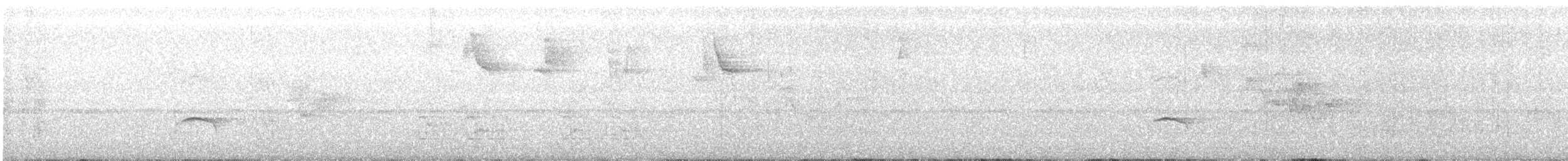 Тиран-малюк омеловий - ML52554041