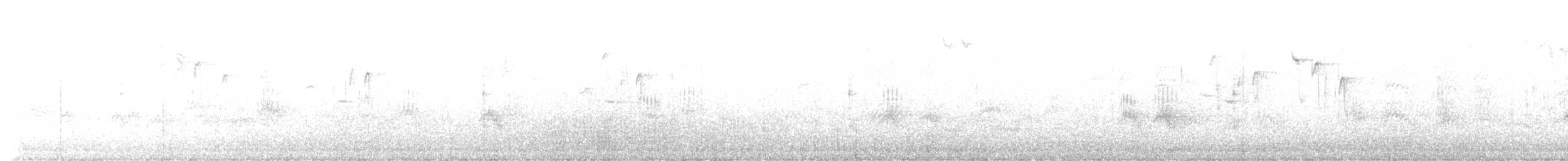 Evening Grosbeak - ML525554051