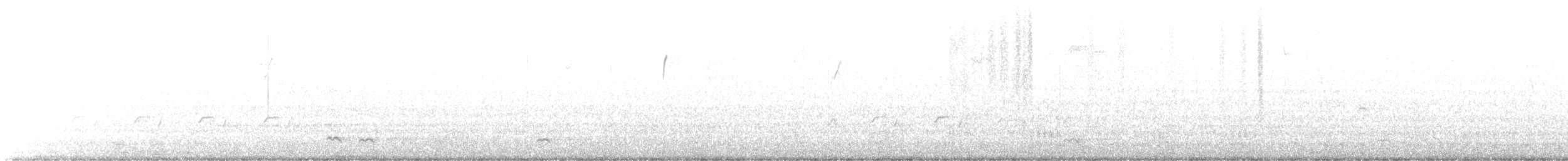 Northern Pintail - ML525570921