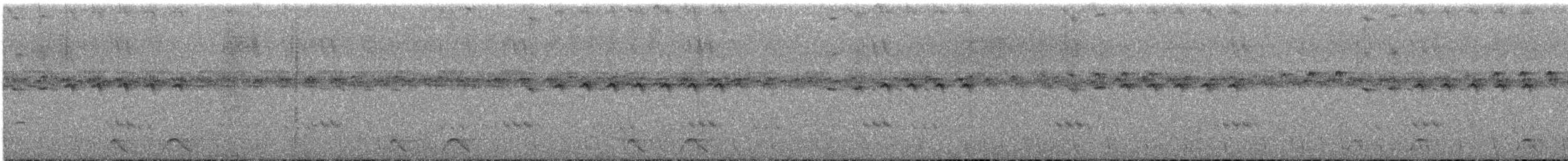 Fleckennachtschwalbe - ML525582641