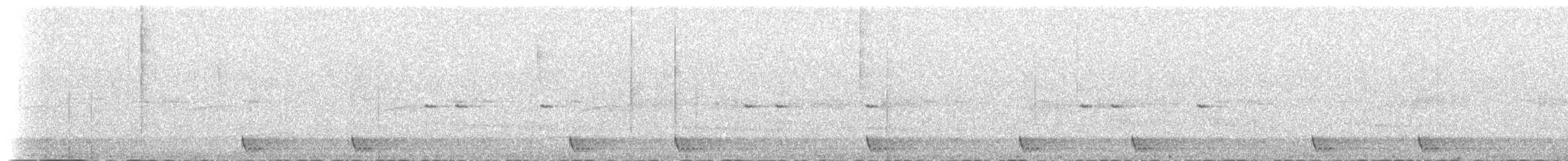 Large-tailed Nightjar - ML52558321