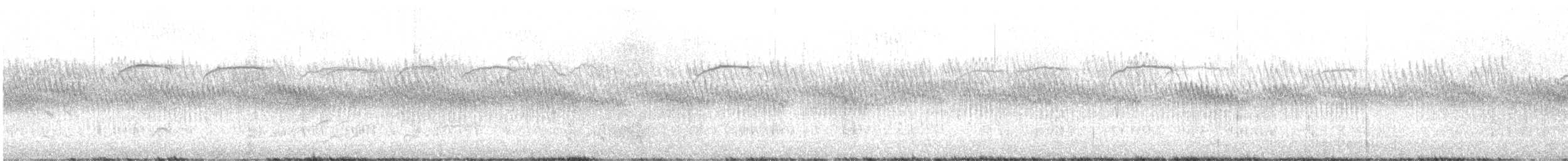 sidensvans - ML525593191