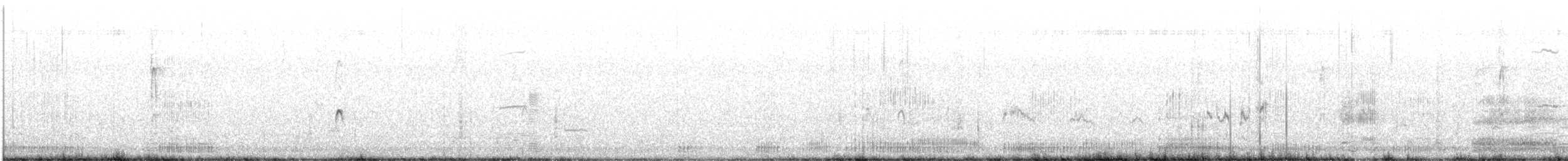 Great Egret - ML525638061