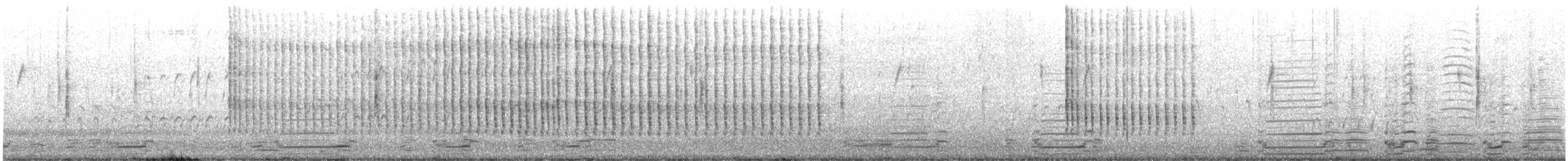 Опоясанный зимородок - ML525649051