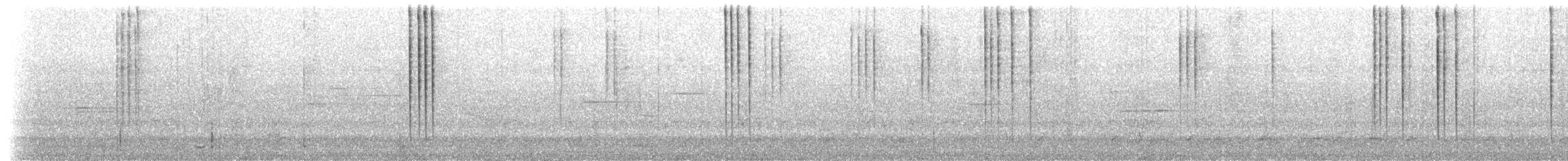 Smaragdkehl-Glanzschwänzchen (smaragdinicollis) - ML525673561