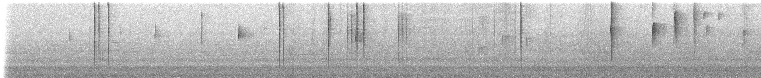 ルリノドインカハチドリ（osculans） - ML525673601