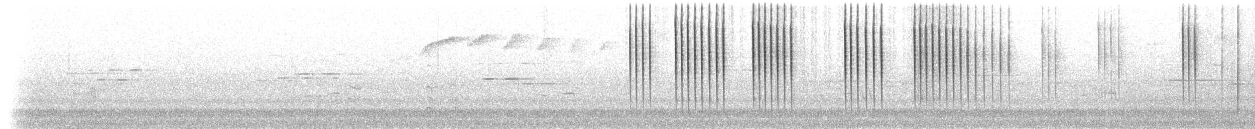 Smaragdkehl-Glanzschwänzchen (smaragdinicollis) - ML525685621