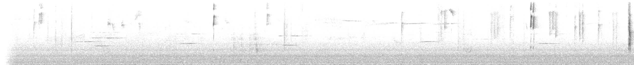 Bonapartewaldsänger (striaticeps) - ML525686161