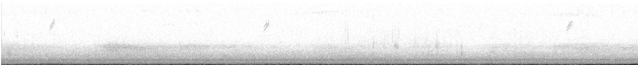 Bruant à couronne blanche (gambelii) - ML525690071