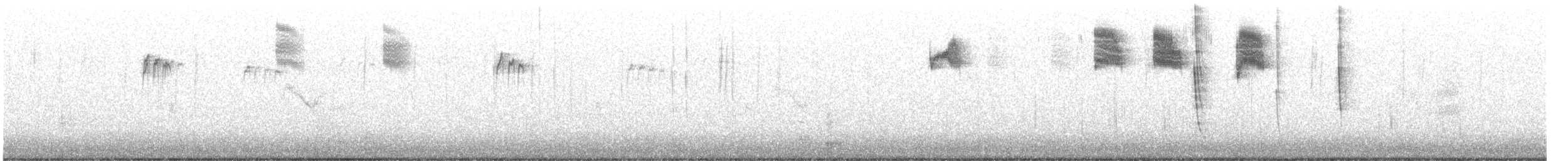 Алленов колибри - ML525693181