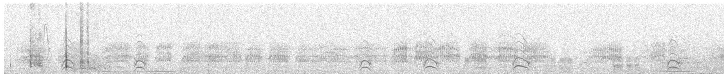 Large-billed Tern - ML525709581