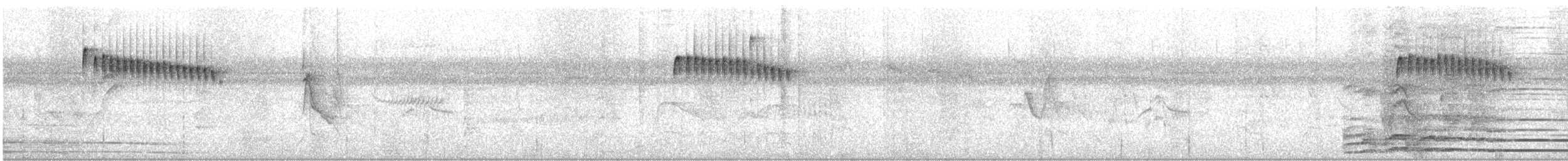 mimosapikulett - ML525730181