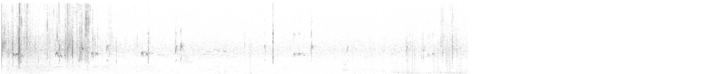Bécasseau sanderling - ML525745981