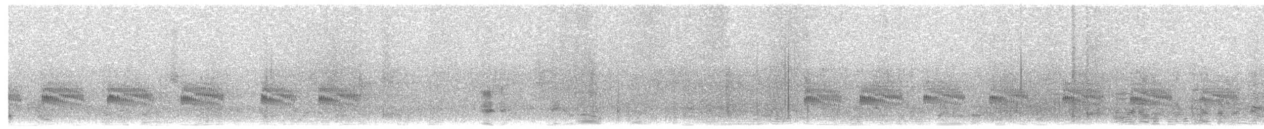 Grass Wren (Paramo) - ML525780351