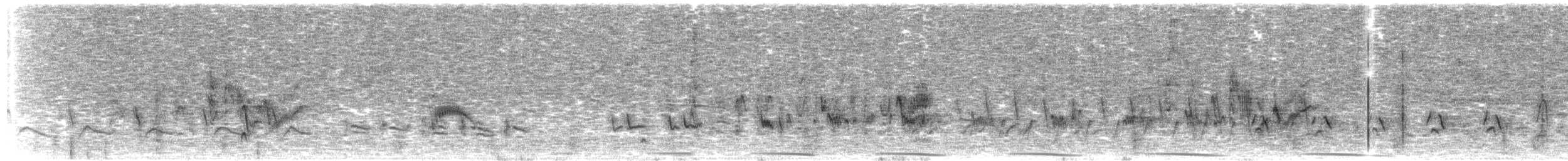 Bell's Vireo - ML52579111