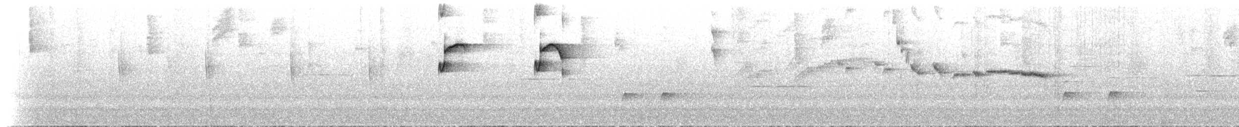 Inca Flycatcher - ML525794241