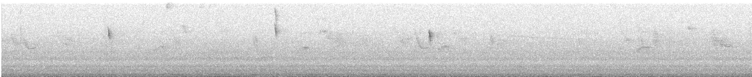 Percefleur glauque - ML525797541