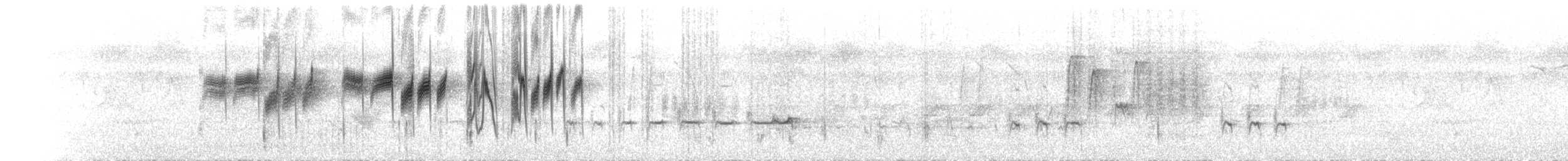 Чернокрылый личинколов - ML525798491