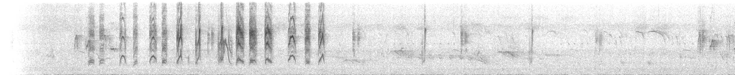 Kara Kanatlı Sinekkapan Vanga - ML525798501