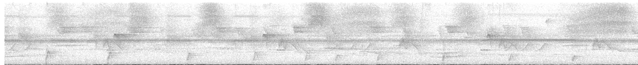 Salvin's Curassow - ML525879051