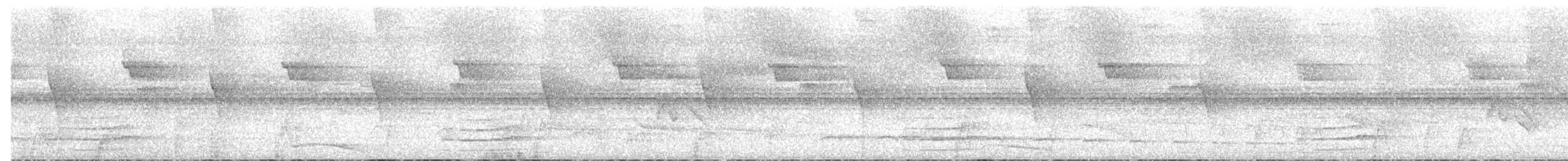 Common Pauraque - ML525880151