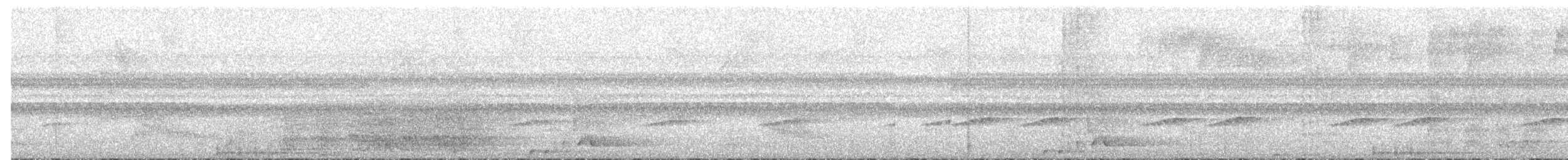 Lineated Woodpecker - ML525882631