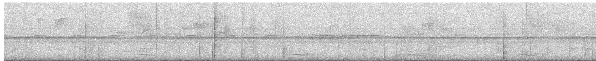 Collared Forest-Falcon - ML525883401