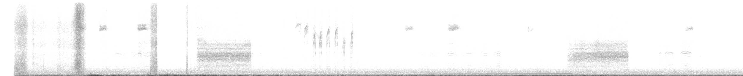 Northern House Wren (Northern) - ML525883571