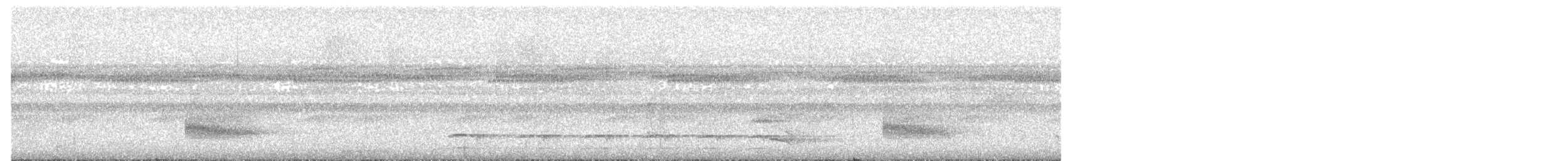 Plain-winged Antshrike - ML525883641