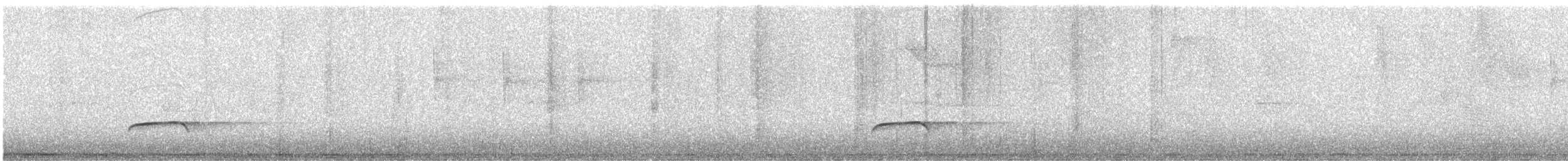 Çizgili Boğazlı Çalı Tiranı - ML525938081