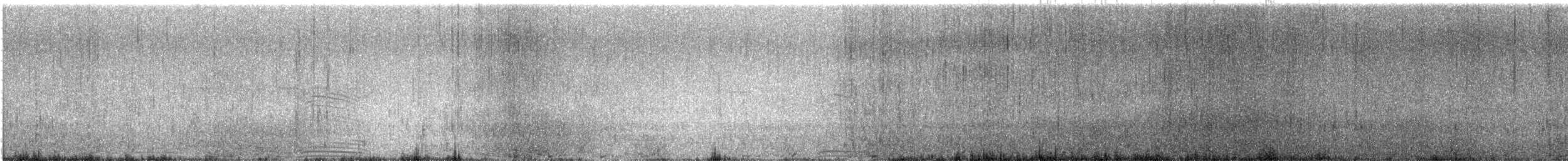 tučňák galapážský - ML525939611