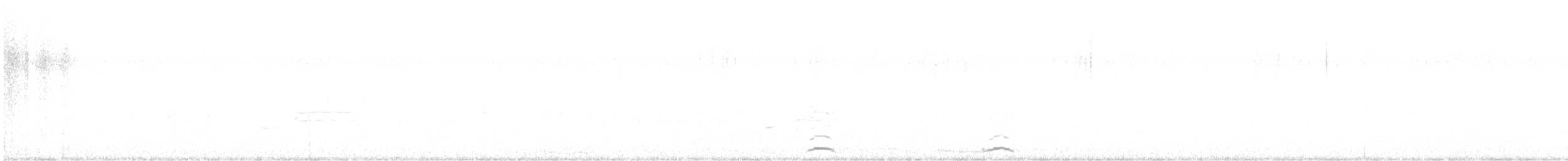 Cygne siffleur - ML525949621