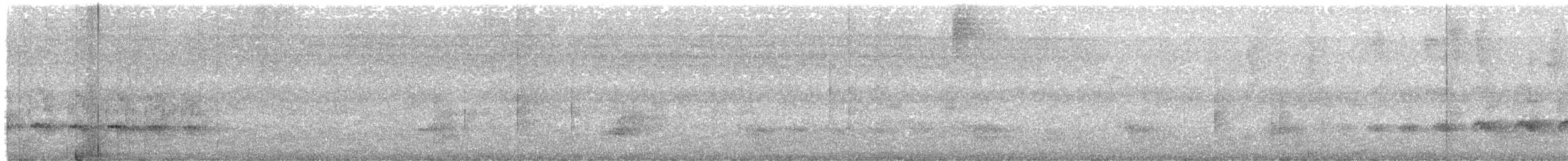 White-flanked Antwren - ML525958721