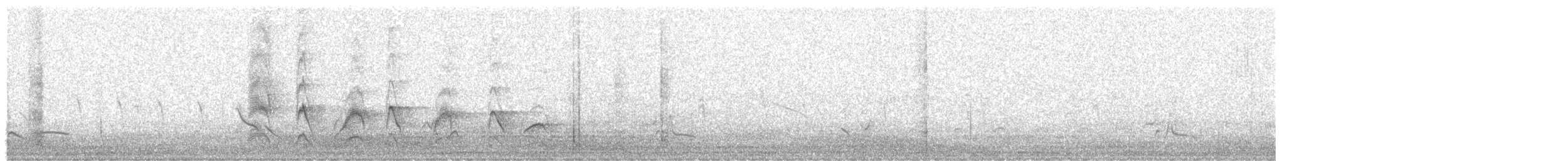 Büyük Kiskadi Tiranı - ML525969811