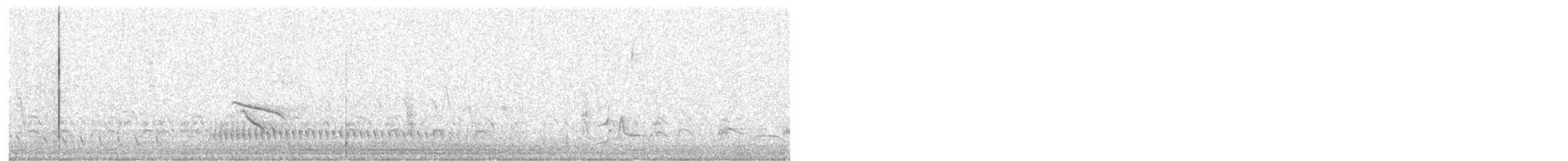 Weißbrust-Ameisenwürger - ML525969941