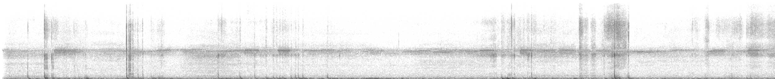 American Barn Owl - ML526030601