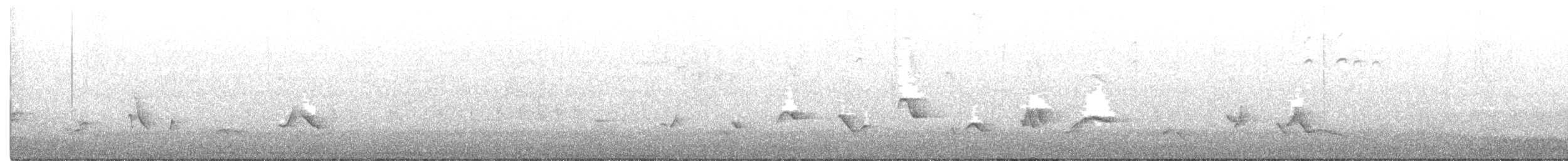 Черноголовый толстонос - ML526062711
