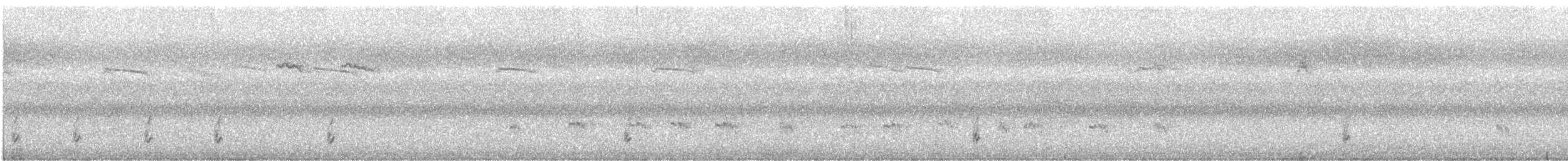 Spotless Crake - ML526063731